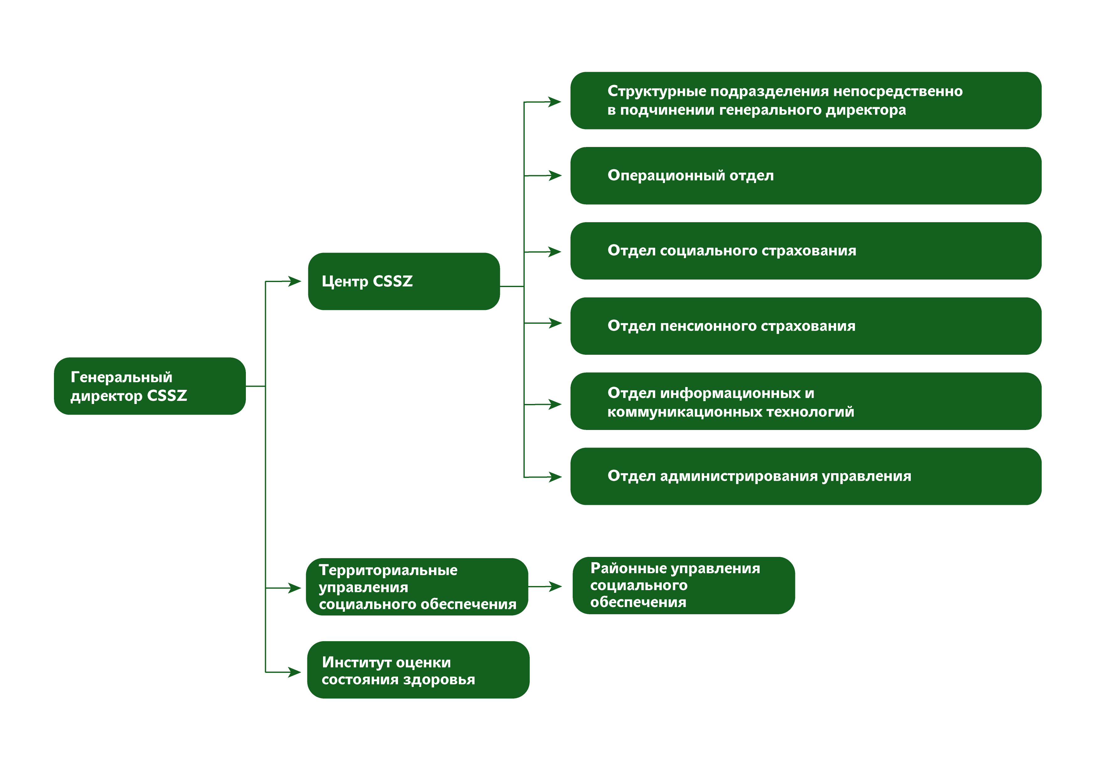Организационная структура Чешского управления социального обеспечения